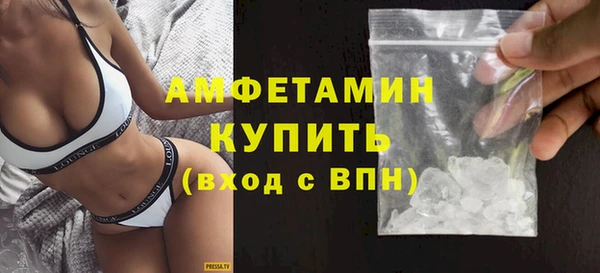 индика Богородск
