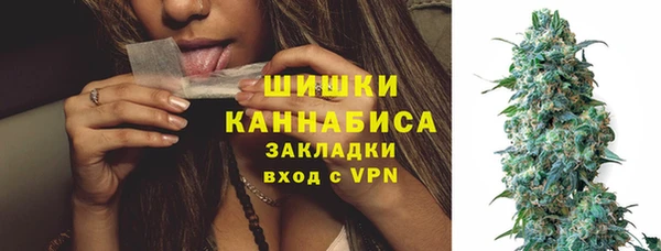 индика Богородск