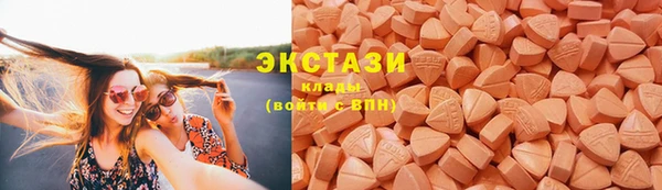 индика Богородск