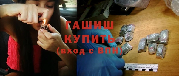 индика Богородск
