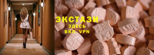 индика Богородск