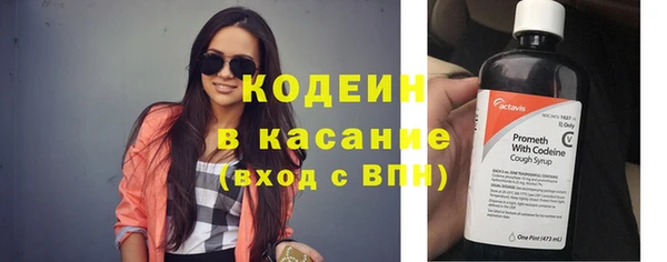 индика Богородск