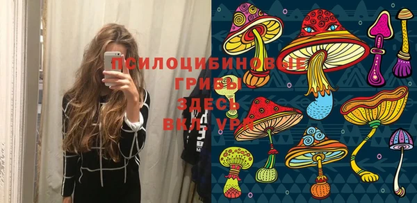 кокаин премиум Богородицк