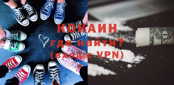 индика Богородск