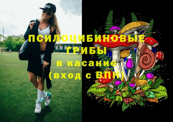 индика Богородск