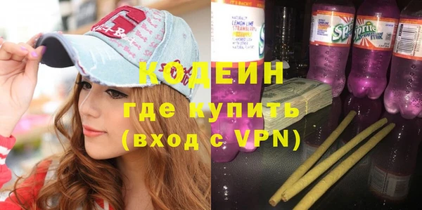 индика Богородск