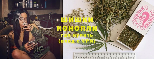индика Богородск