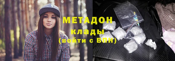 индика Богородск