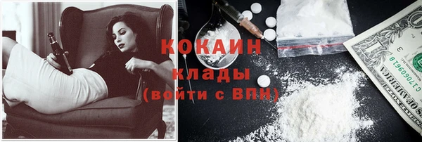индика Богородск