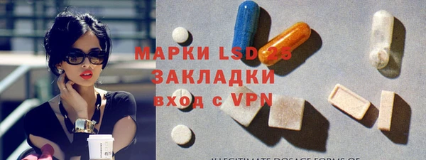 индика Богородск